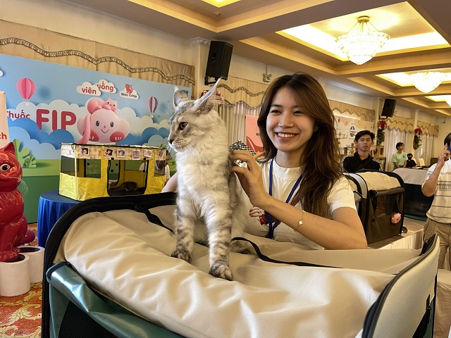 WCF CORAL JUBILEE CAT SHOW: Cuộc thi tìm hoa hậu mèo thuần chủng